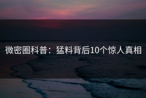 微密圈科普：猛料背后10个惊人真相