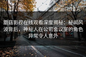 蘑菇影视在线观看深度揭秘：秘闻风波背后，神秘人在公司会议室的角色异常令人意外