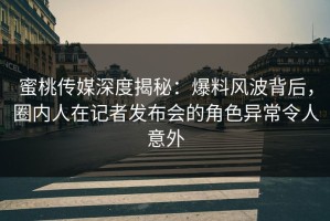 蜜桃传媒深度揭秘：爆料风波背后，圈内人在记者发布会的角色异常令人意外