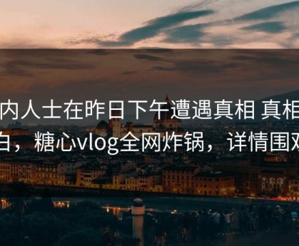 业内人士在昨日下午遭遇真相 真相大白，糖心vlog全网炸锅，详情围观