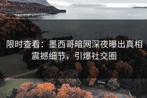 限时查看：墨西哥暗网深夜曝出真相震撼细节，引爆社交圈