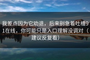 我差点因为它劝退，后来别急着吐槽91在线，你可能只是入口理解没调对（建议反复看）