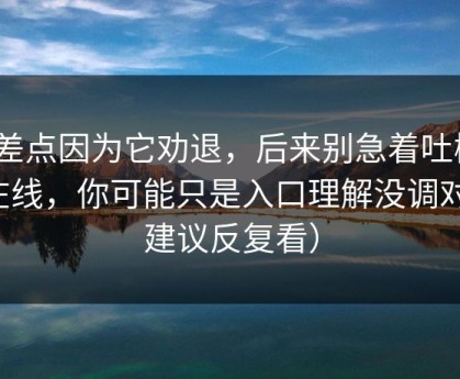 我差点因为它劝退，后来别急着吐槽91在线，你可能只是入口理解没调对（建议反复看）