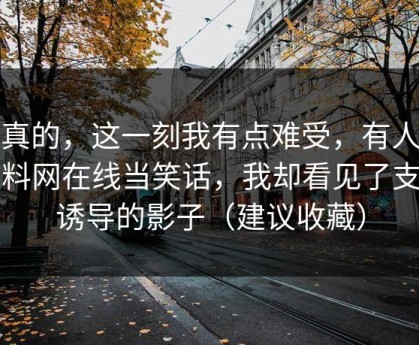 说真的，这一刻我有点难受，有人拿黑料网在线当笑话，我却看见了支付诱导的影子（建议收藏）