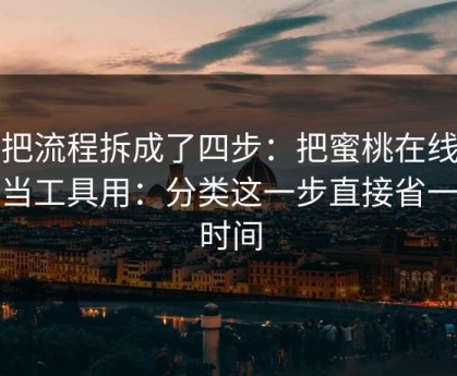 我把流程拆成了四步：把蜜桃在线观看当工具用：分类这一步直接省一半时间