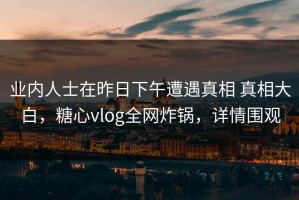 业内人士在昨日下午遭遇真相 真相大白，糖心vlog全网炸锅，详情围观
