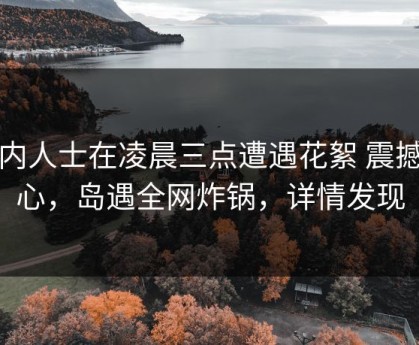 业内人士在凌晨三点遭遇花絮 震撼人心，岛遇全网炸锅，详情发现