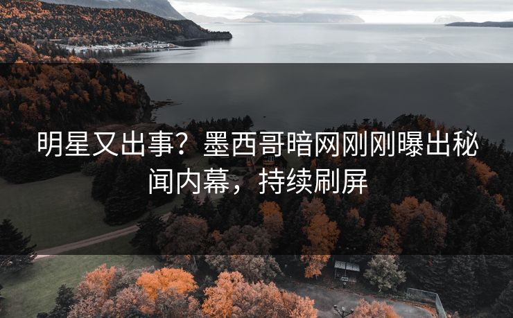 明星又出事？墨西哥暗网刚刚曝出秘闻内幕，持续刷屏